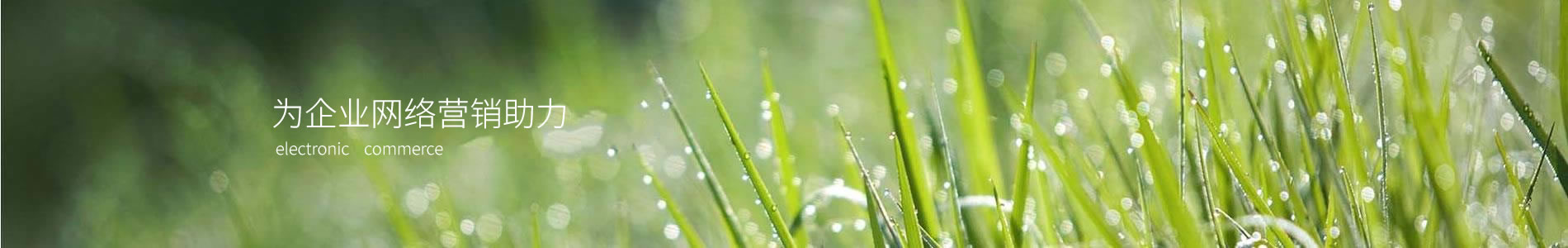 ֣-ӿƼ޹˾